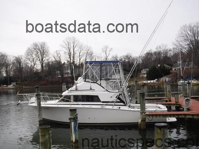 Bertram 33 specs and reviews